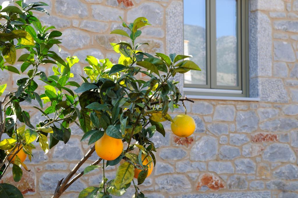Villa Nikoloudi Estate Agios Nikolaos  Exterior foto